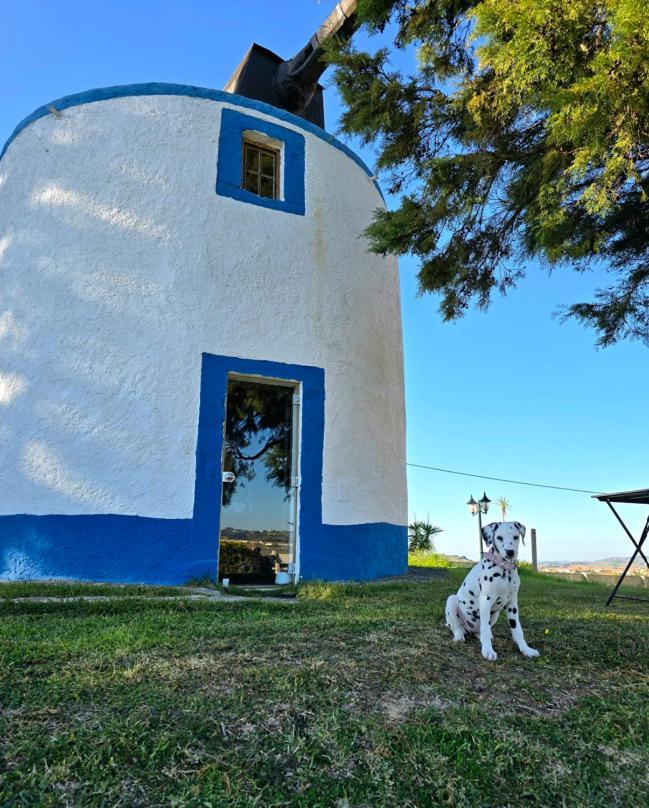Casal Do Moinho Villa Enxara do Bispo Ngoại thất bức ảnh